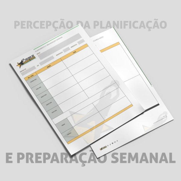 Ficha de Planificação de Microciclo